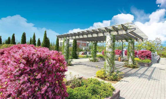 富士見メモリアルガーデン 永代供養墓「彩雲」