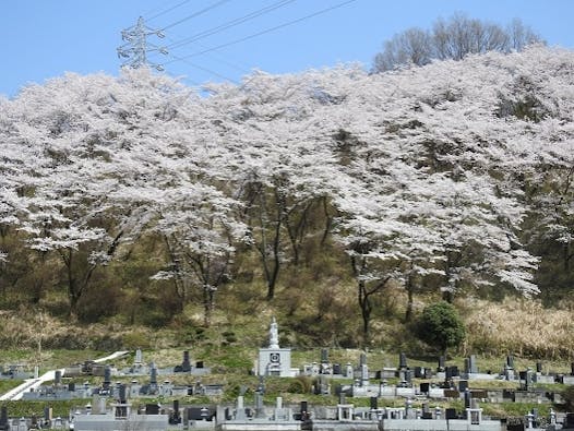 長成寺永代供養納骨堂 桜観音永安廟