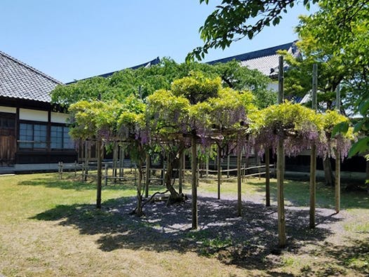 宝光寺墓苑 永代供養付き墓地