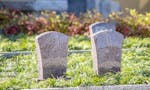 宝蔵院墓苑 永代供養墓・樹木葬 故人が眠る場所がわかるよう石の墓標を使用