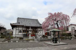 ふじみ桂葉霊園