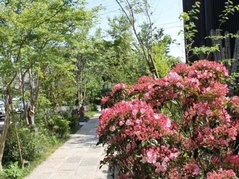 青木お不動さん墓苑