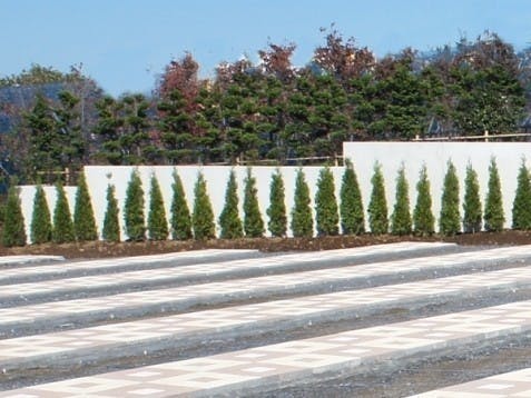 朝陽の杜墓苑 東の丘