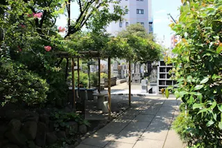 寶蓮寺