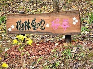 東京都の樹木葬 171件掲載 17ページ いいお墓 公式 無料で簡単に資料請求