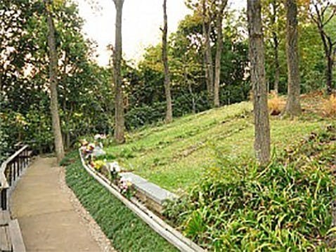 町田いずみ浄苑 (桜葬 樹林墓地 風の旅人、杜の家族（家族・2段埋葬）)