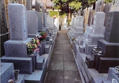 臨済宗妙心寺派 圓通寺の画像