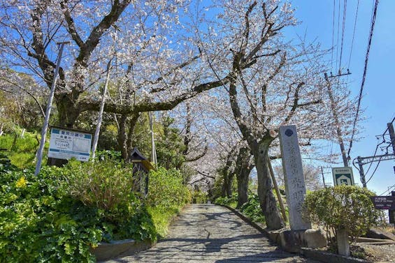 永代供養納骨堂 とこしえの塔