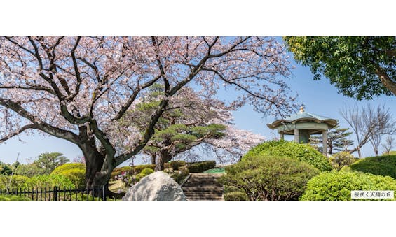 春秋苑 青蓮堂 屋内御廟 (納骨堂)