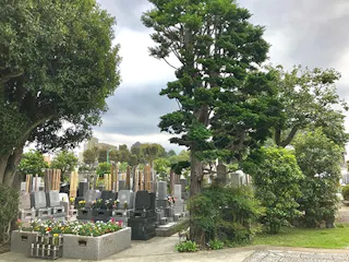 妙祝寺