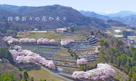 上毛高原メモリアルパーク 永代供養墓・樹木葬