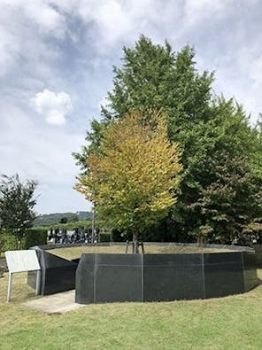 瑞岩寺 永代供養墓