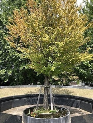 瑞岩寺 永代供養墓