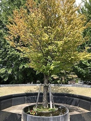 瑞岩寺 永代供養墓