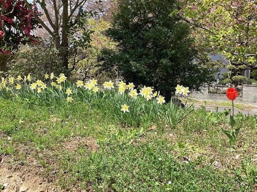 仙台法楽の苑 樹木葬