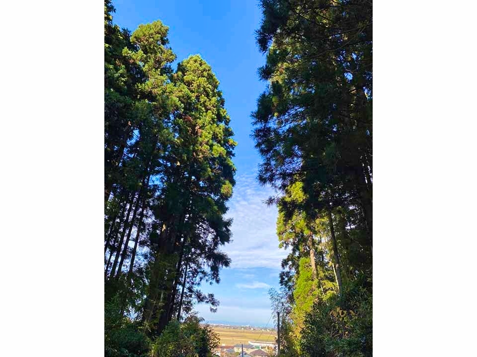 感応寺 永代供養墓「久遠」