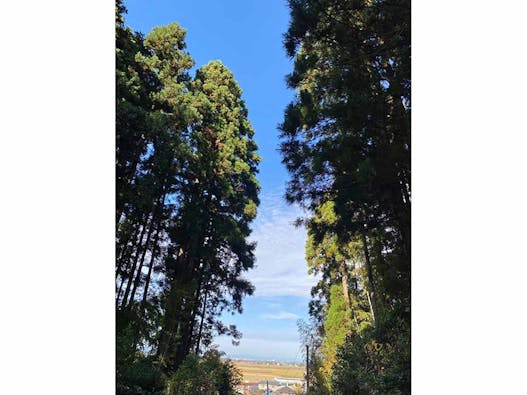 感応寺 永代供養墓「久遠」