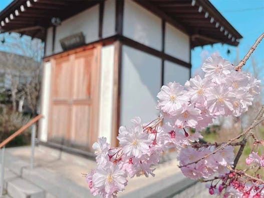 千葉寺 永代供養墓