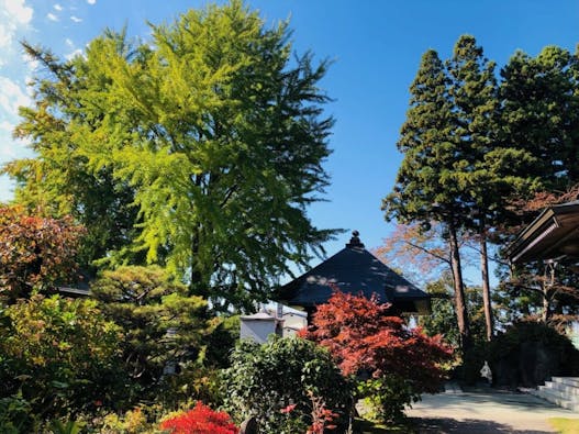 千葉寺 永代供養墓