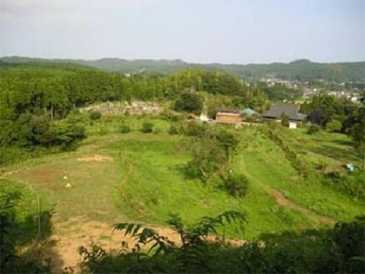 樹木葬の天徳寺 樹木葬 個別区画