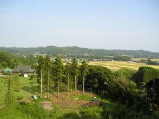 樹木葬の天徳寺 樹木葬 個別区画