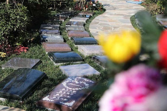 樹木葬・永代供養墓「やすらぎ祈りのその」