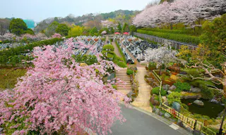メモリアルフォレスト多摩【永代供養墓】
