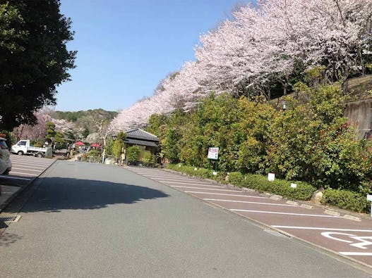 メモリアルフォレスト多摩【永代供養墓】