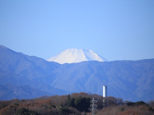 メモリアルフォレスト多摩【永代供養墓】