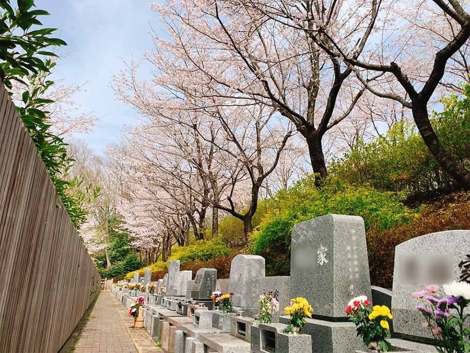 メモリアルフォレスト多摩【永代供養墓】 春の園内風景