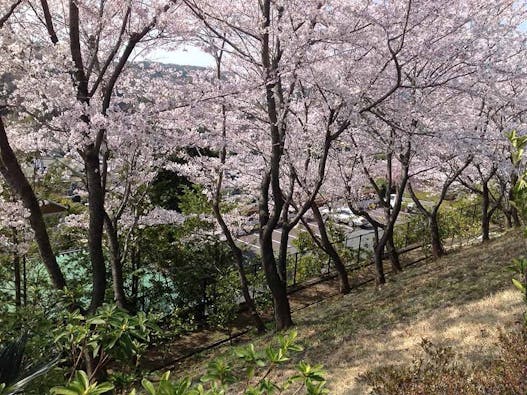 メモリアルフォレスト多摩【永代供養墓】