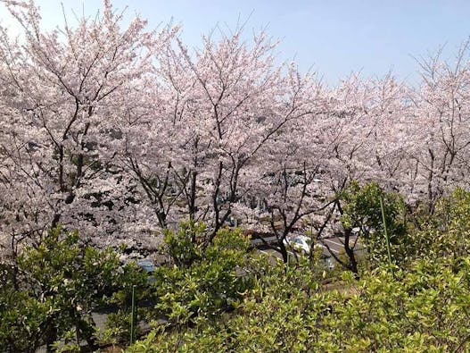 メモリアルフォレスト多摩【永代供養墓】