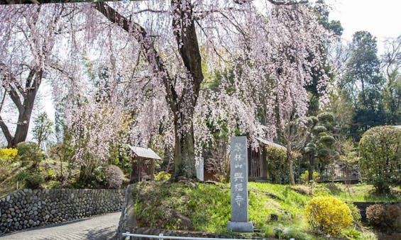 興福寺墓苑 永代供養墓・樹木葬