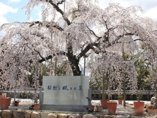 永代供養のお寺 洞泉寺