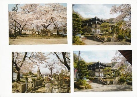 本照寺 光要山墓地の画像