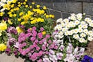 フラワーパークみよしの霊園 噴水植栽