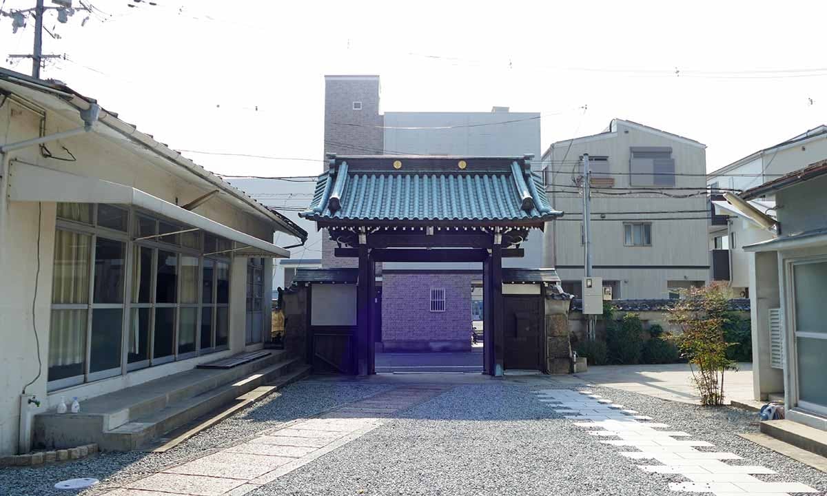 掛軸-1409　大徳寺　中村祖順　「玄鶴千年齢」 楽天市場】【中古】【書画】大徳寺508世随應戒仙筆 「鶴飛千尺雪