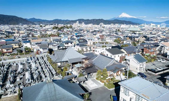 新定院 永代供養墓 樹木葬