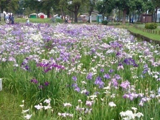 水元公園ともしびの郷 樹木葬