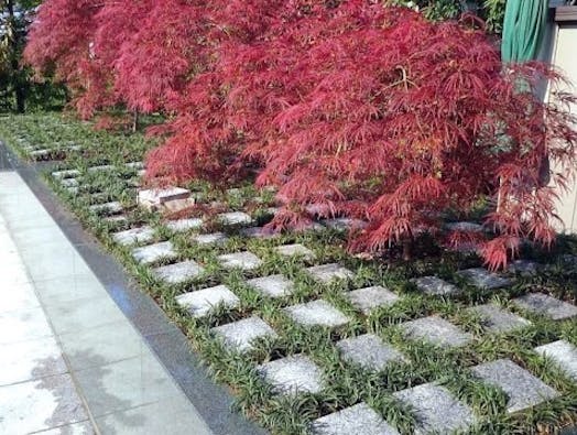 水元公園ともしびの郷 樹木葬