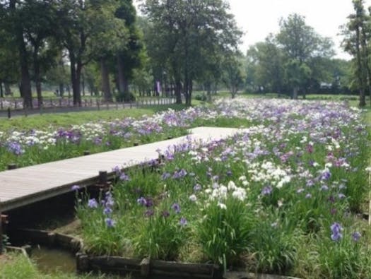 水元公園ともしびの郷 樹木葬