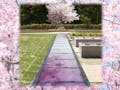 【停止】阪南小川渓メモリーズパーク(樹木葬)