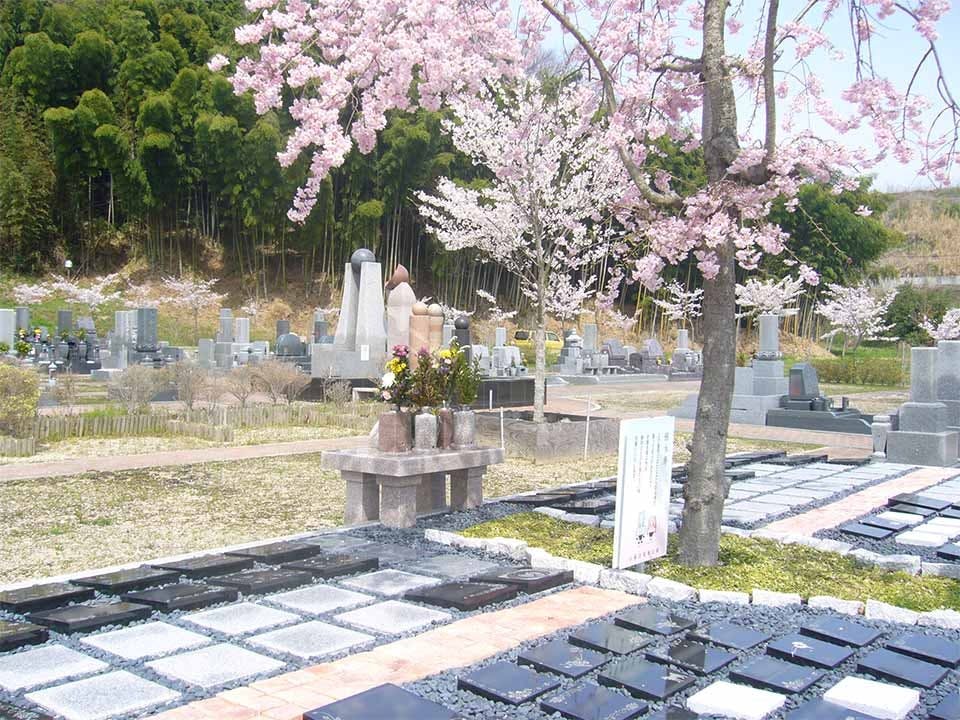 京阪奈墓地公園 樹木葬「桜」の画像