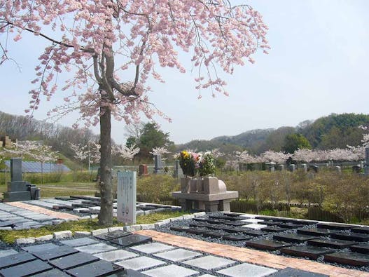 京阪奈墓地公園 樹木葬「桜」