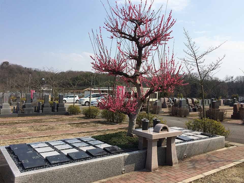 京阪奈墓地公園 樹木葬「桜」