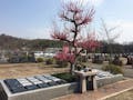 京阪奈墓地公園 樹木葬「桜」 樹木葬区画