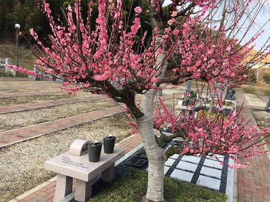 京阪奈墓地公園 樹木葬「桜」