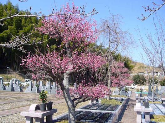 京阪奈墓地公園 樹木葬「桜」