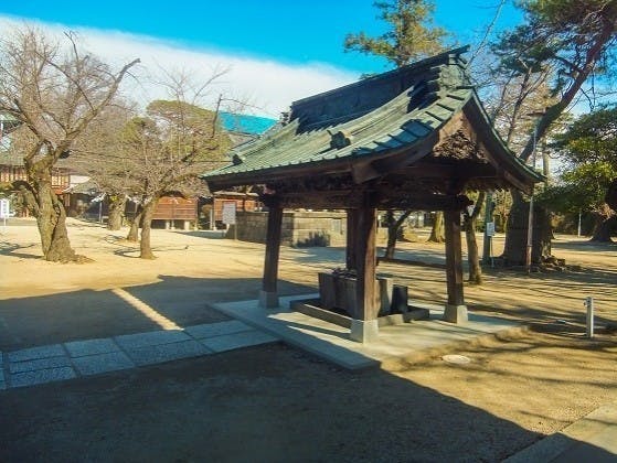 總願寺墓地の画像