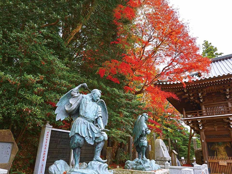 大本山高尾山薬王院墓地
